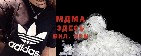 шишки Слюдянка