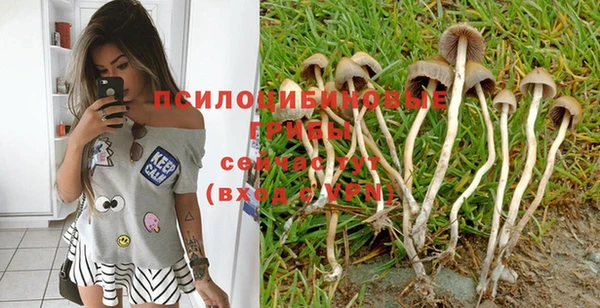 не бодяженный Пересвет