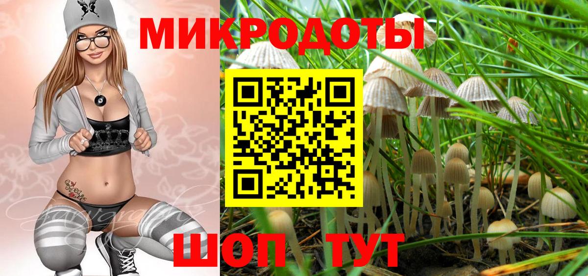 Галлюциногенные грибы Cubensis Ковров