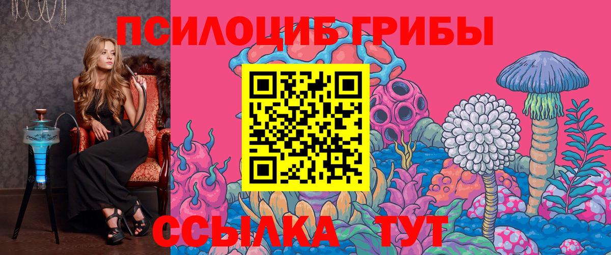 Псилоцибиновые грибы Cubensis  Вход с VPN  Ковров  Галлюциногенные грибы Cubensis 
